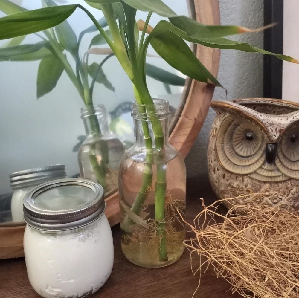 Grass fed tallow and lanolin balm